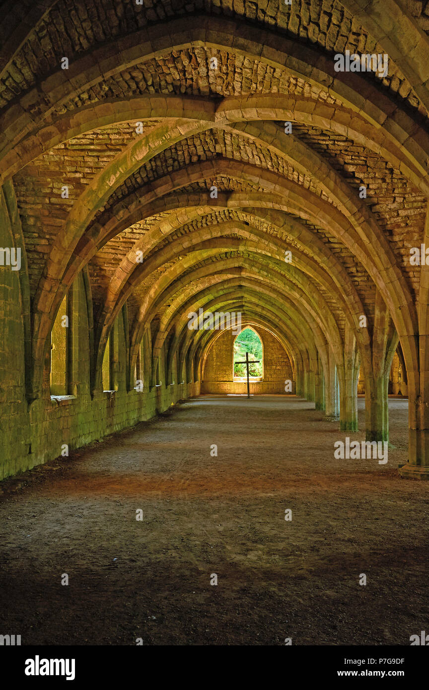The Cellarium in Fountains Abbey, North Yorkshire has a magnificent vaulted roof. The Abbey was destroyed as part of King Henry VIII's Reformation. Stock Photo