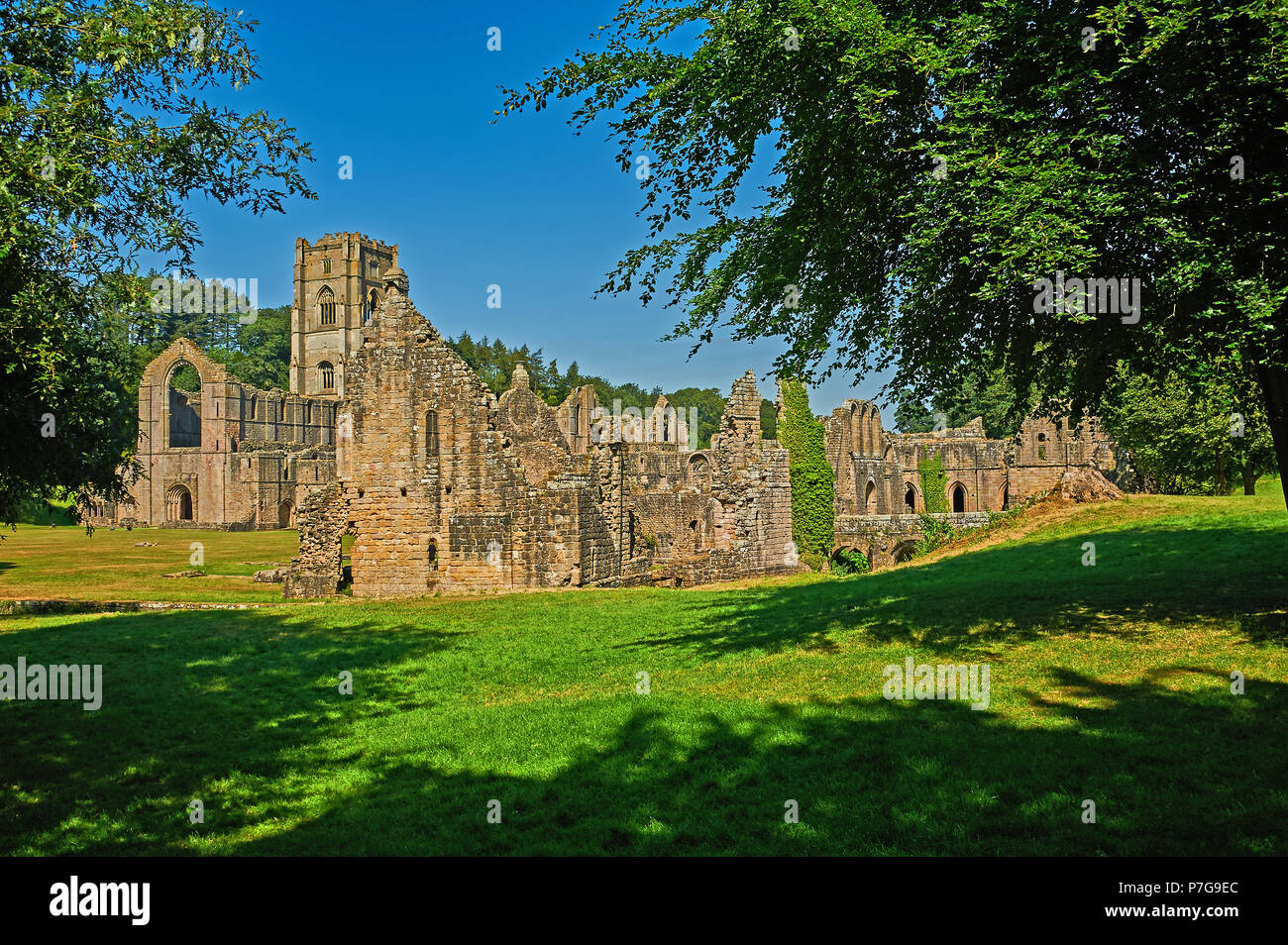 The ruins of Fountains Abbey in North Yorkshire under a clear blue sky. The abbey was largely destroyed during King Henry VIII's reformation. Stock Photo