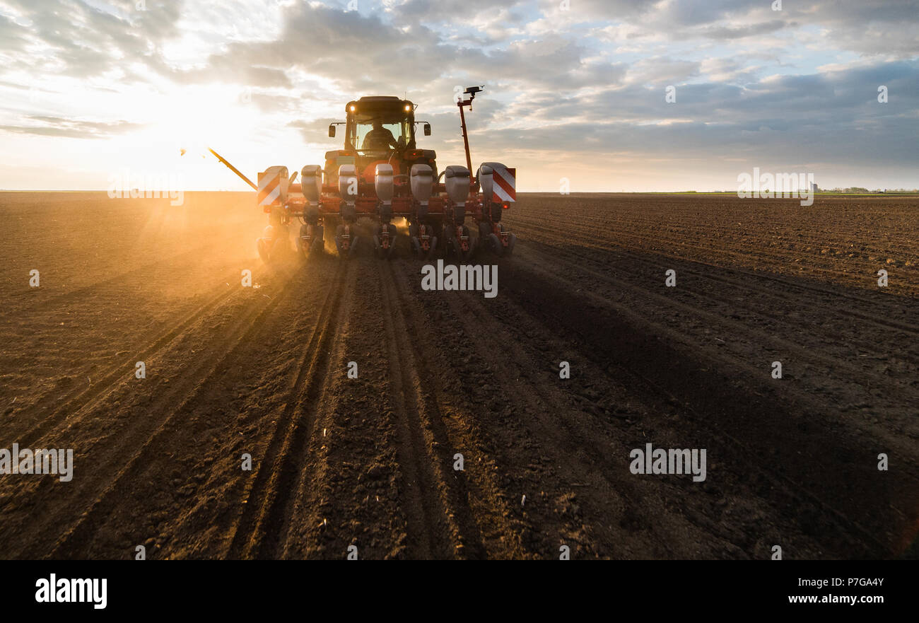 Farmer with tractor seeding - sowing crops at agricultural fields in ...