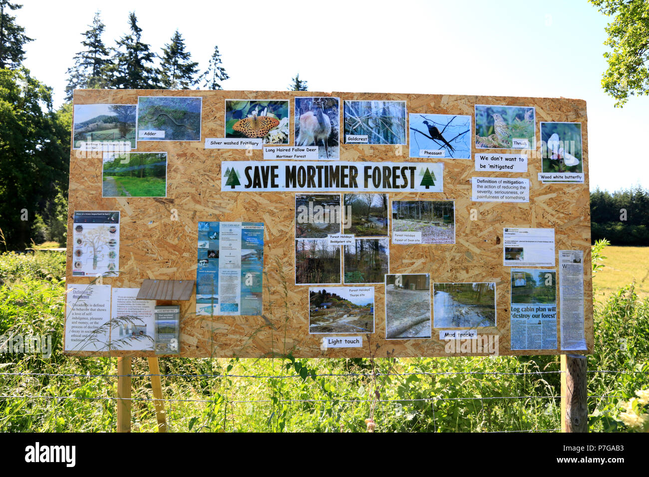 Save Mortimer Forest Campaign Signs At The Entrance To High