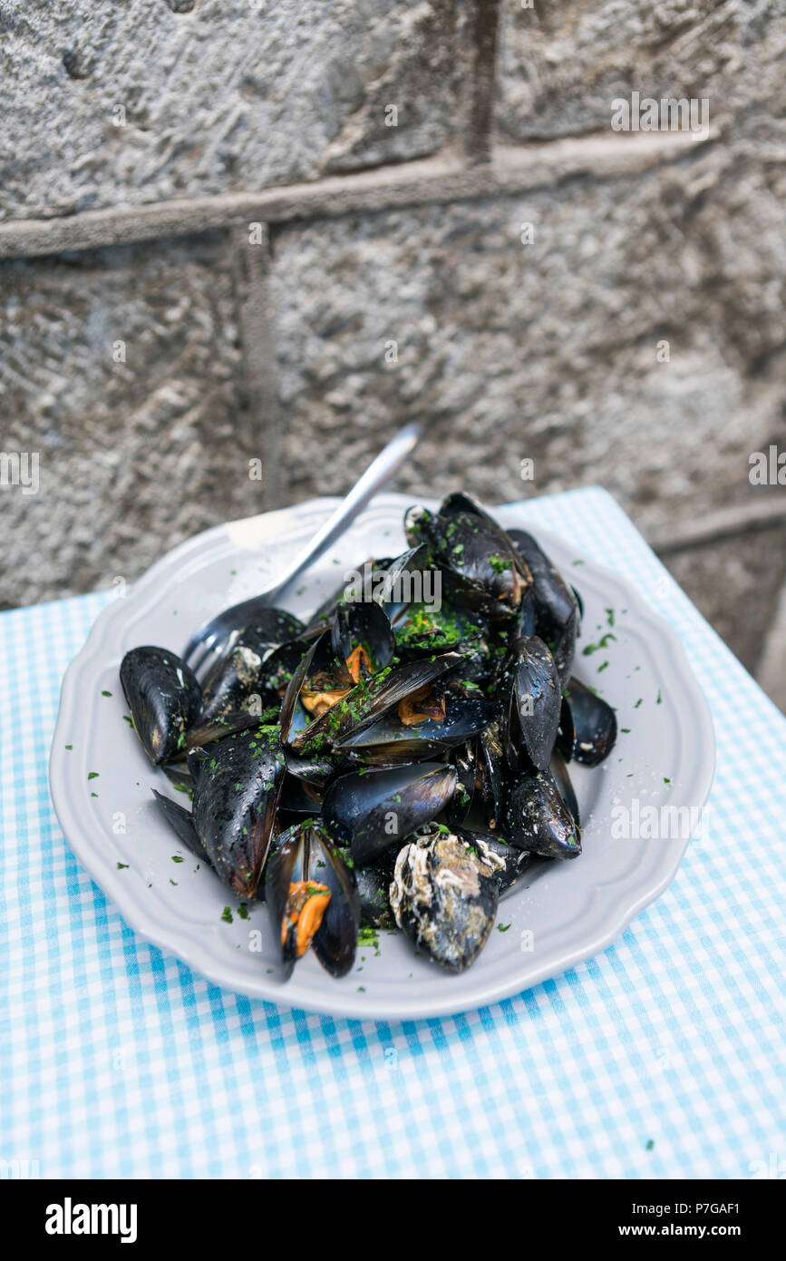 Mussels on a plate, Split, Croatia Stock Photo
