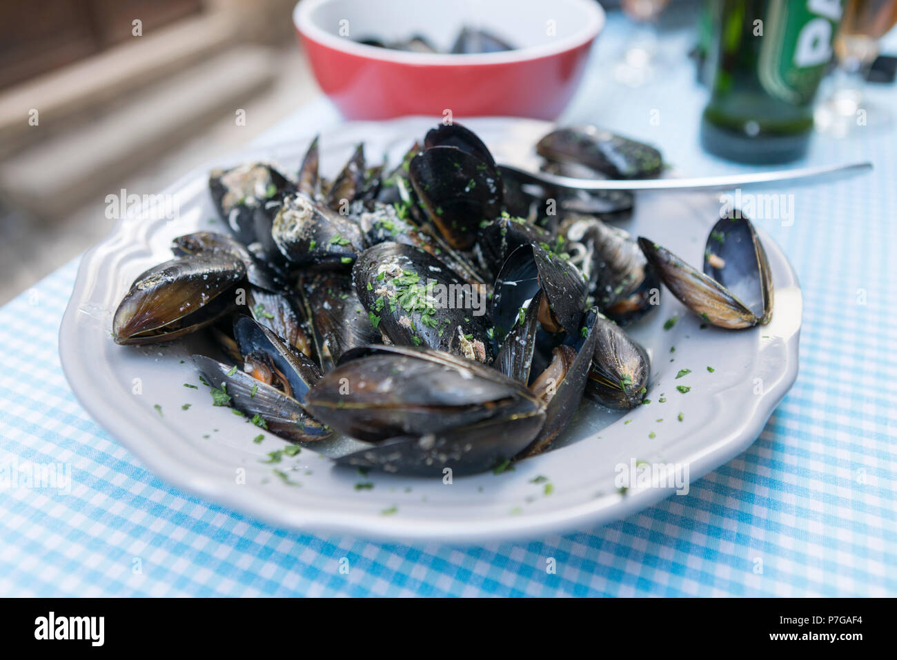 Mussels on a plate, Split, Croatia Stock Photo