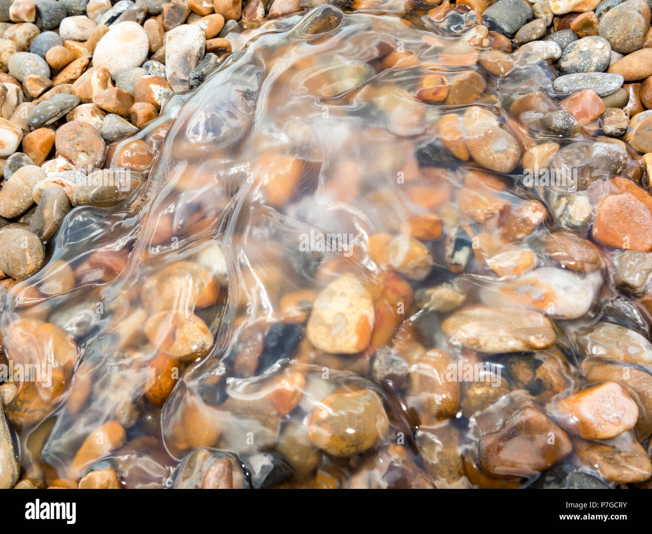 Mesoglea remains of jelly fish on pebble beach Stock Photo