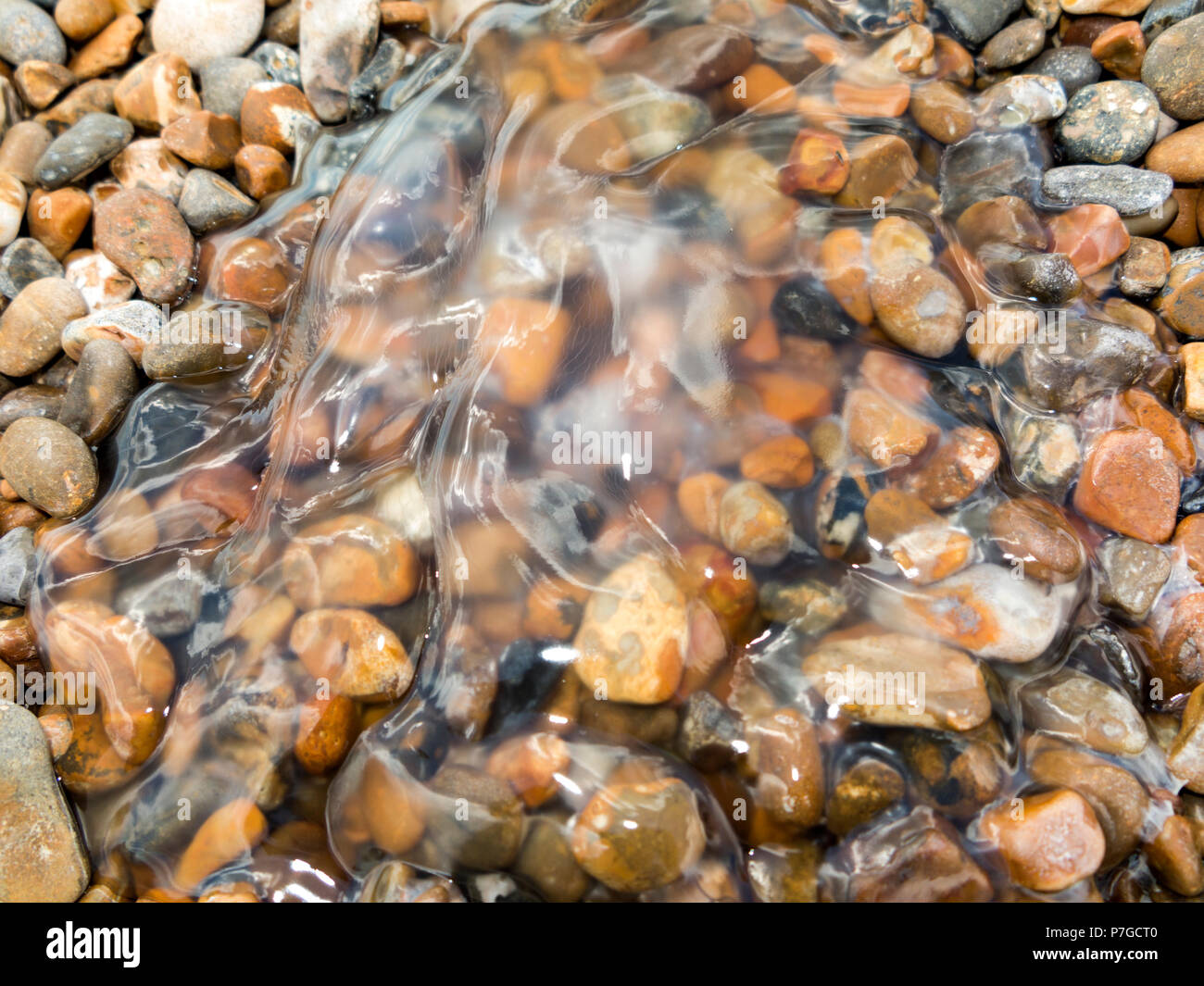 Mesoglea remains of jelly fish on pebble beach Stock Photo