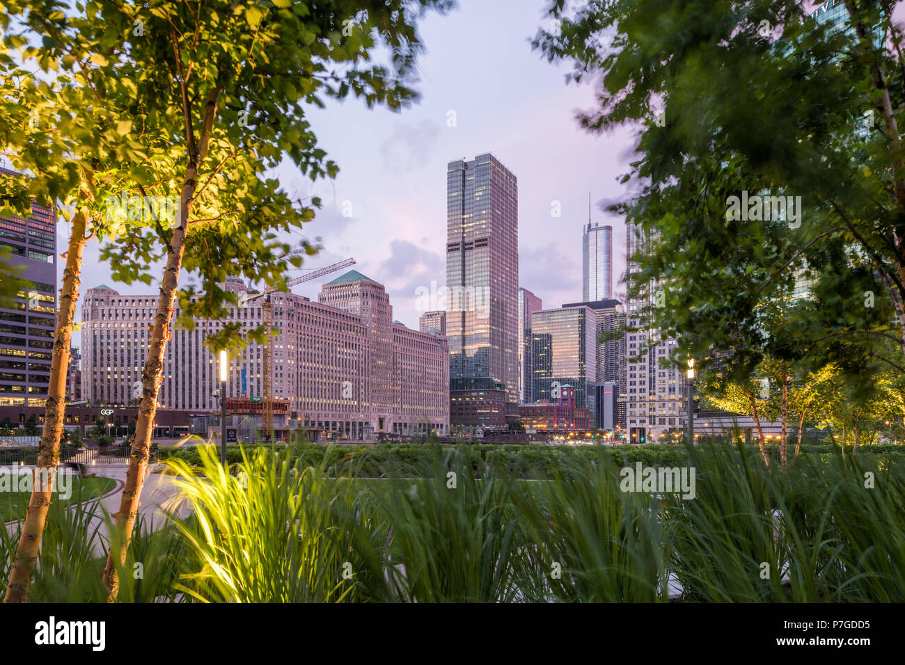 Merchandise Mart and buildings along Chicago River framed by landscaping Stock Photo