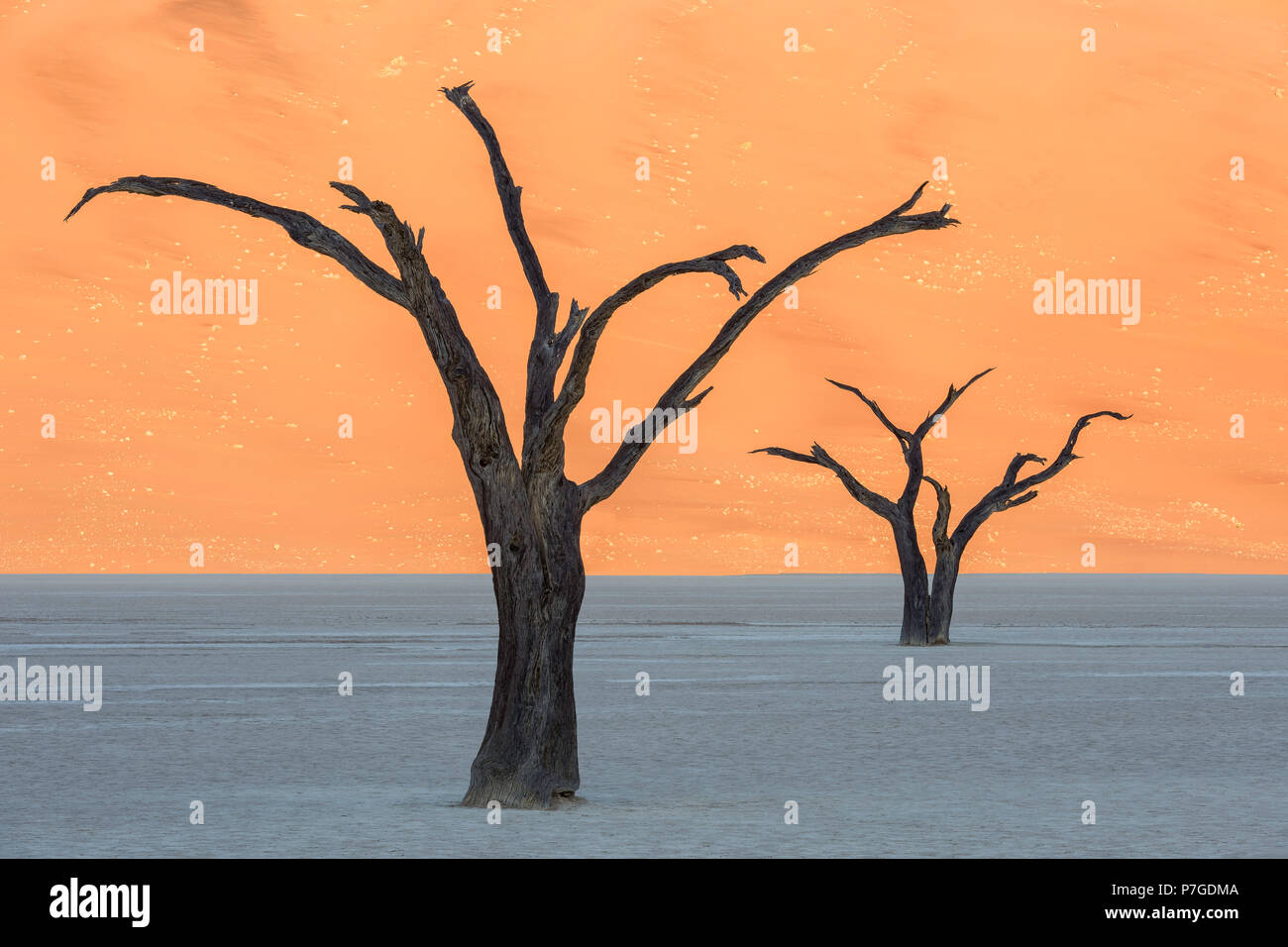 Namibia sunrise hi-res stock photography and images - Alamy