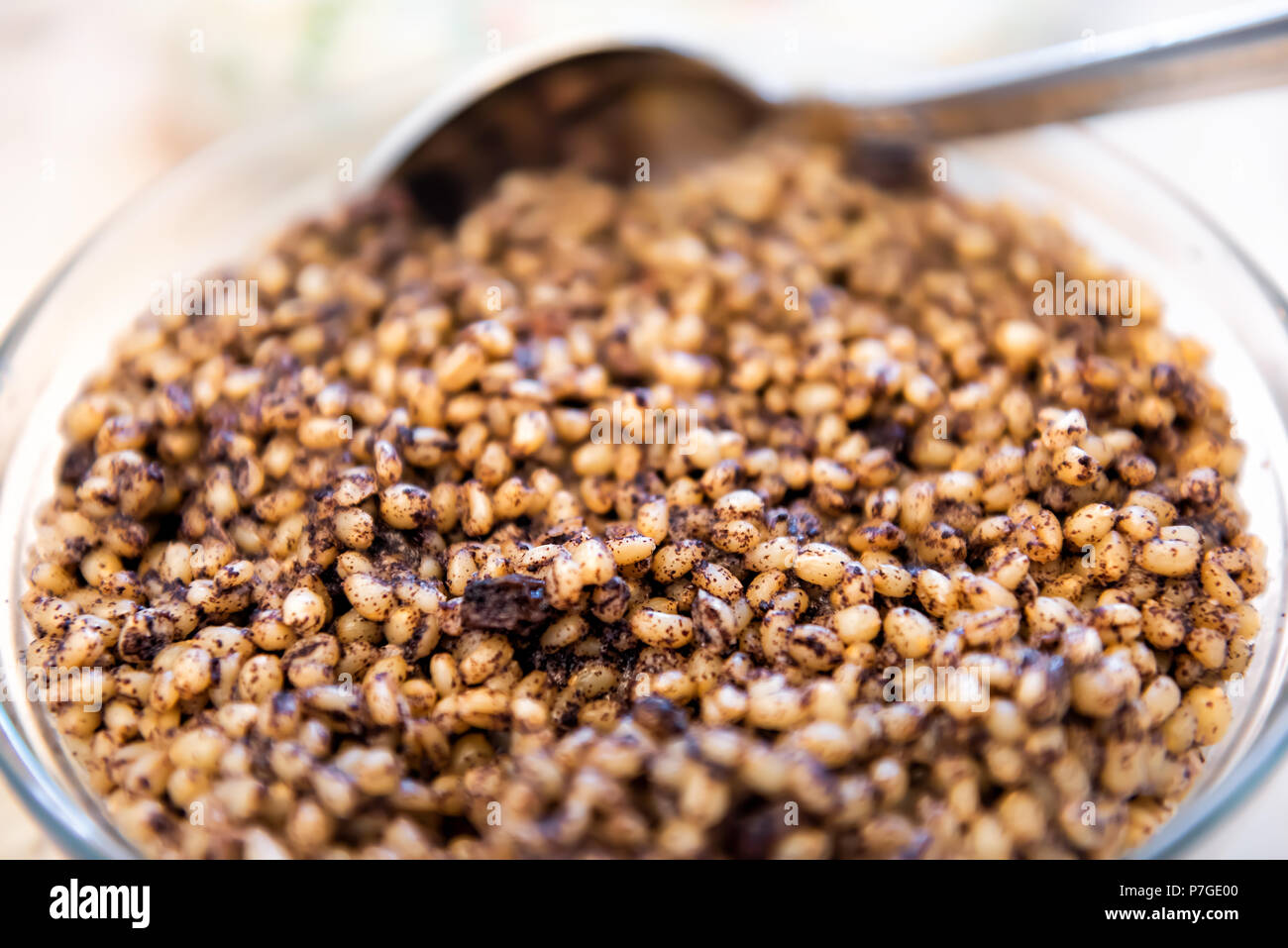 Kutya or kutia cereal dish, macro closeup, Russia and Ukraine Christmas