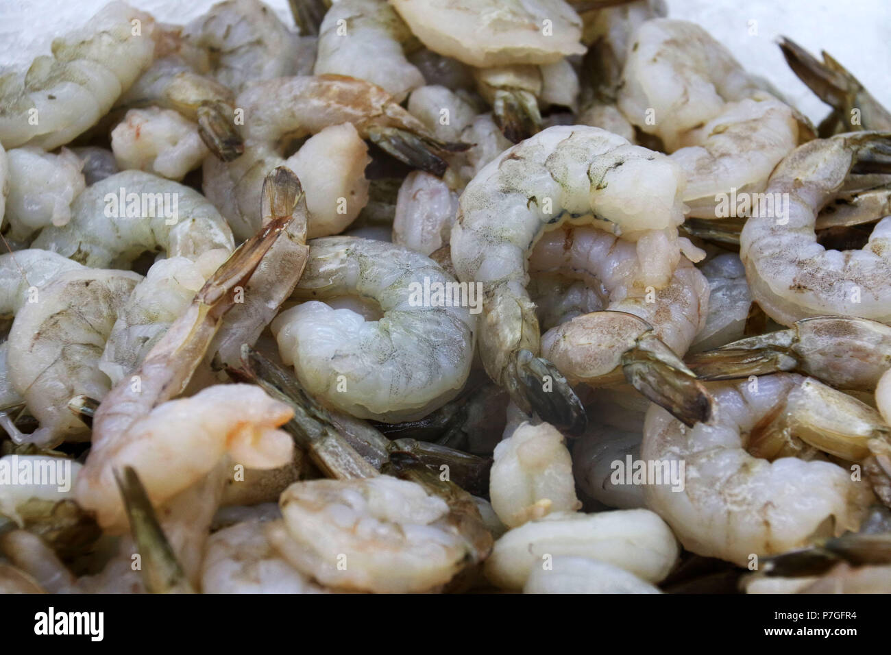Raw farmed shrimp on ice at seafood market Stock Photo