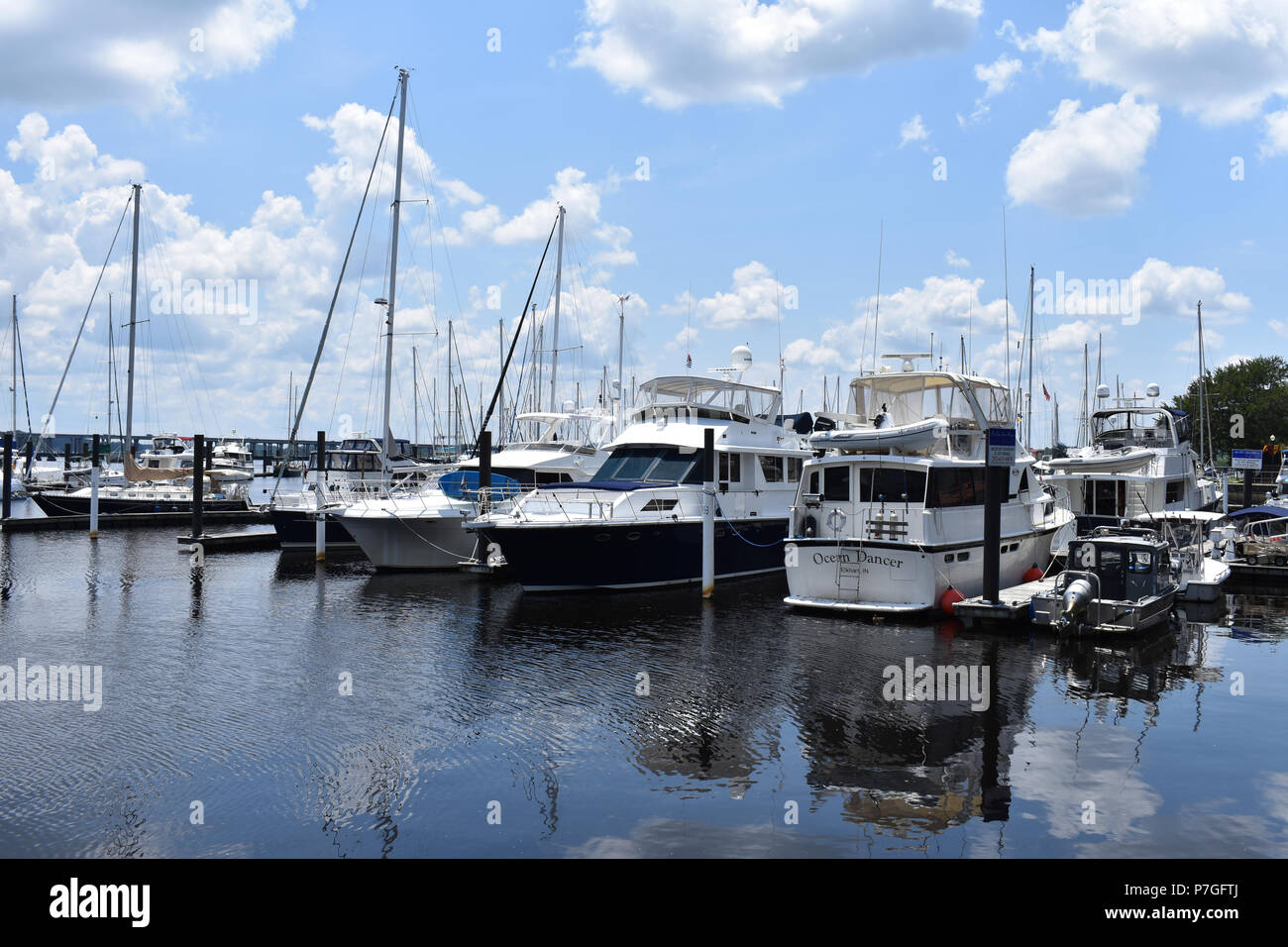 Yachts moored at the New Bern Grand Marina.located in New Bern, North