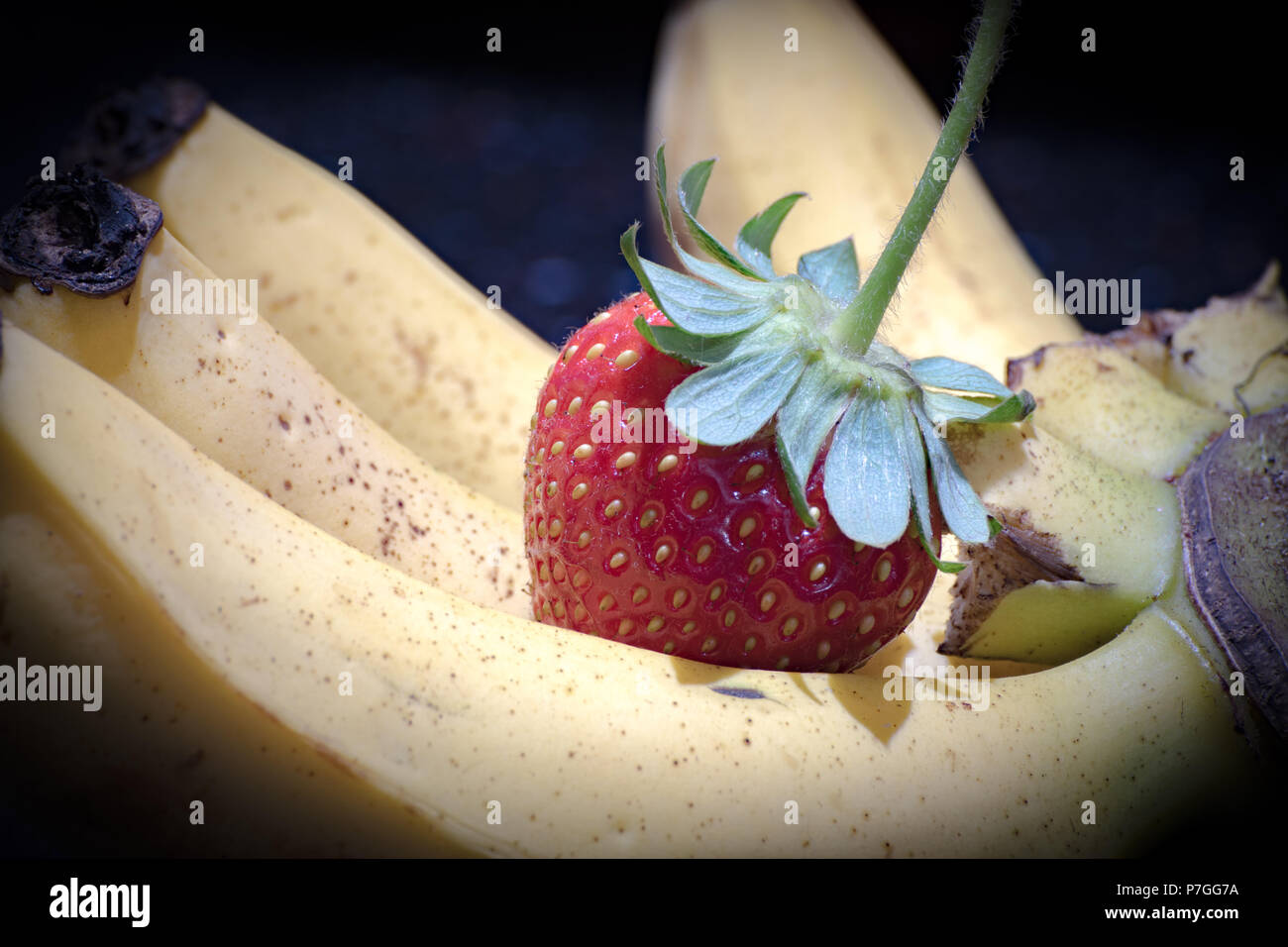 Bananas and a juicy strawberry, freshly picked from the garden, grown in Jamaica Stock Photo