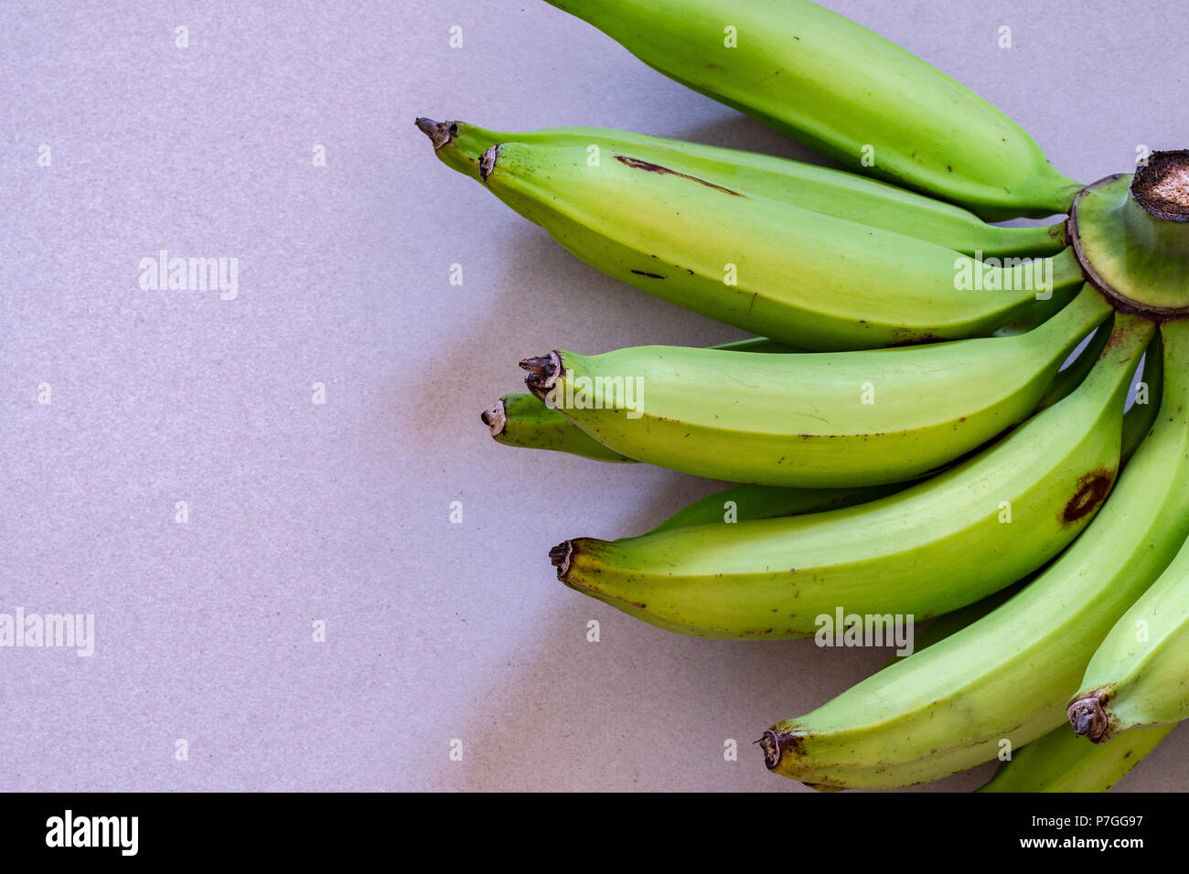A bunch of young green plantain which resemble bananas, but are larger in size. Can be fried, baked, grilled, boiled either when green or ripened. Stock Photo