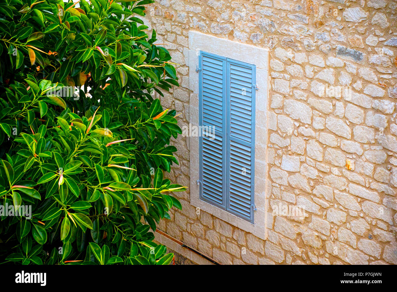 Stone wall with closed window and green tree outside. Stock Photo