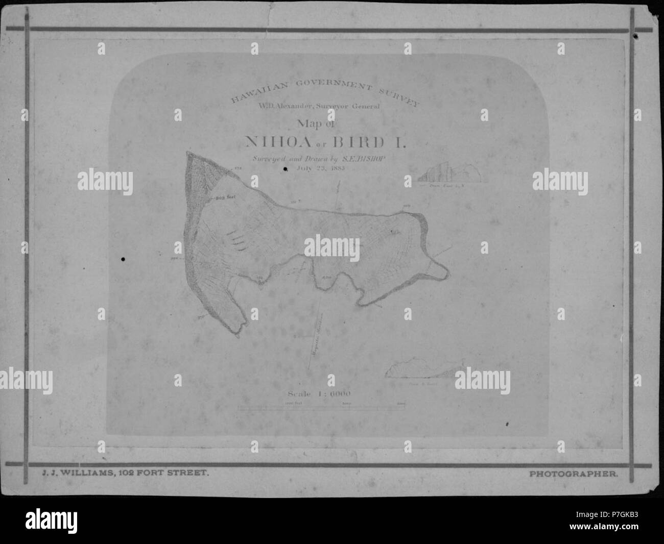English: Hawaiian Government Survey. W. D. Alexander, Surveyor General. Map of Nihoa or Bird Island. Surveyed and Drawn by S. E. Bishop. July 23, 1883. not given 4 1883 Map of Nihoa or Bird Islands, photograph by J. J. Williams (PP-45-10-005) Stock Photo