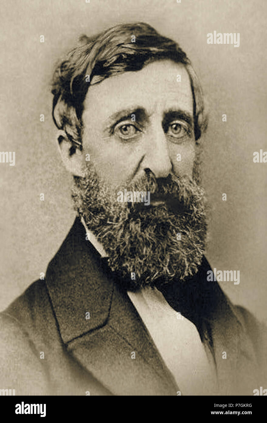 English: Henry David Thoreau, photograph taken in August 1861 and published circa 1879, head-and-shoulders portrait, facing slightly right. Edited image from Library of Congress item LC-USZ61-361 (b&w film copy neg.). Photographed August 1861, Published c. 1879 191 Henry David Thoreau 1861 Stock Photo