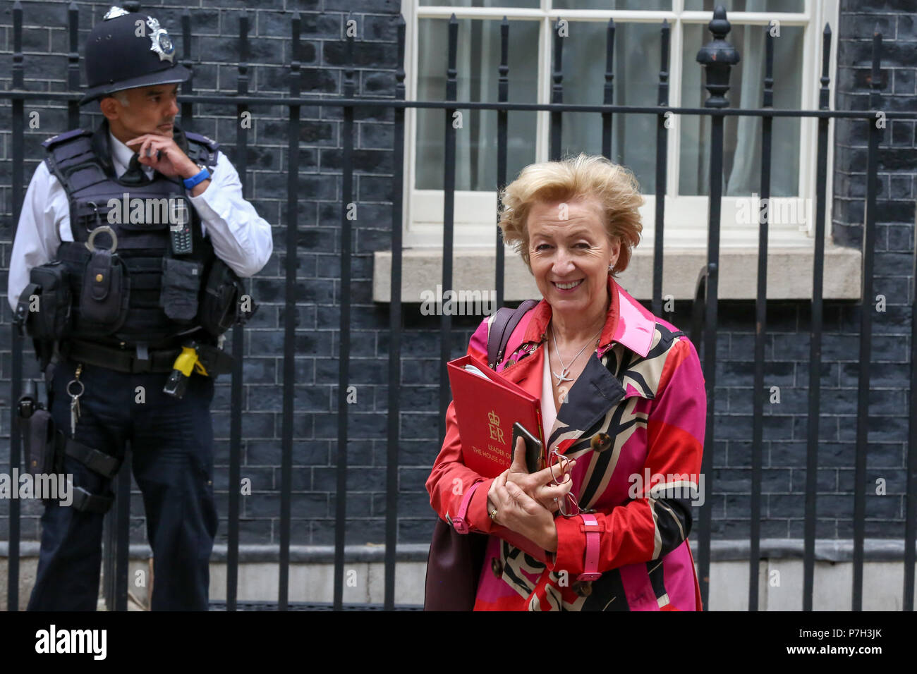 Ministers departs from No 10 Downing Street after attending the weekly Cabinet Meeting.  Featuring: Andrea Leadsom - Lord President of the Council and Leader of the House of Commons Where: London, United Kingdom When: 05 Jun 2018 Credit: Dinendra Haria/WENN Stock Photo