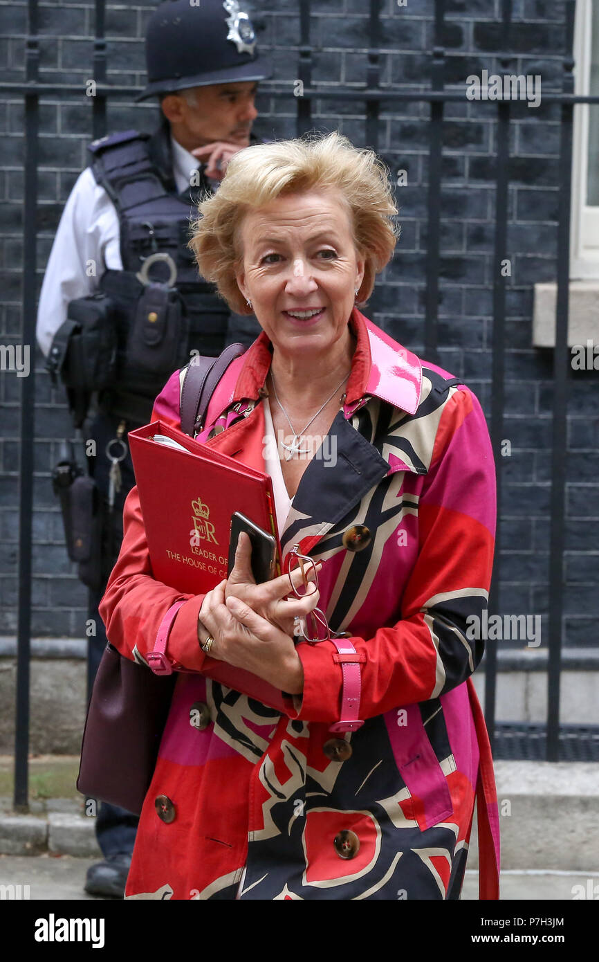 Ministers departs from No 10 Downing Street after attending the weekly Cabinet Meeting.  Featuring: Andrea Leadsom - Lord President of the Council and Leader of the House of Commons Where: London, United Kingdom When: 05 Jun 2018 Credit: Dinendra Haria/WENN Stock Photo