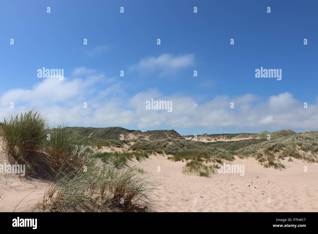 Dunes at beach under blue sky with clouds and copy space Stock Photo ...