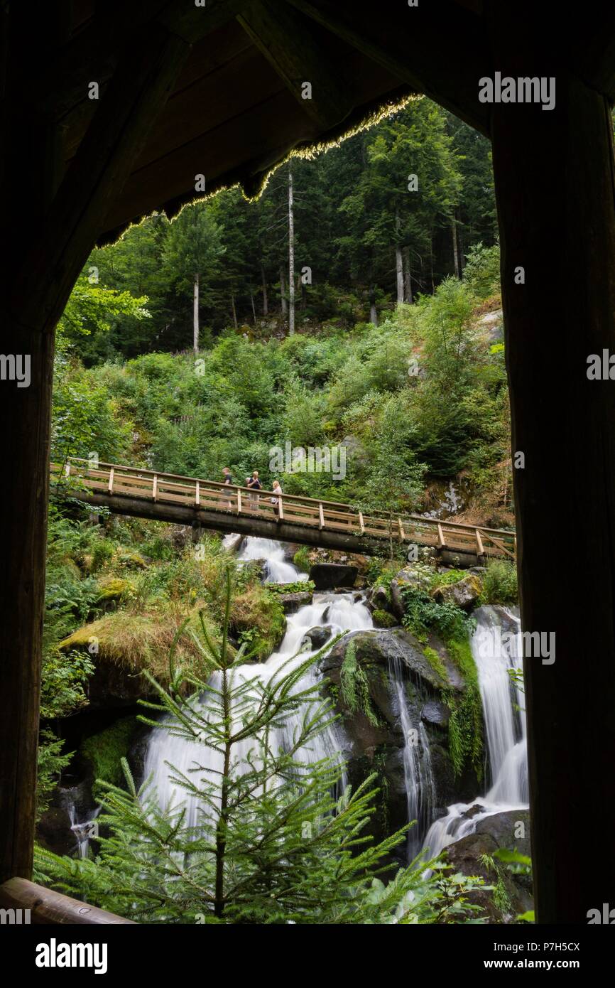 cascadas Triberg,  - Triberger Wasserfälle- , con un descenso de 163 metros,  río Gutach, Triberg, región de la Selva Negra, Alemania, Europe. Stock Photo