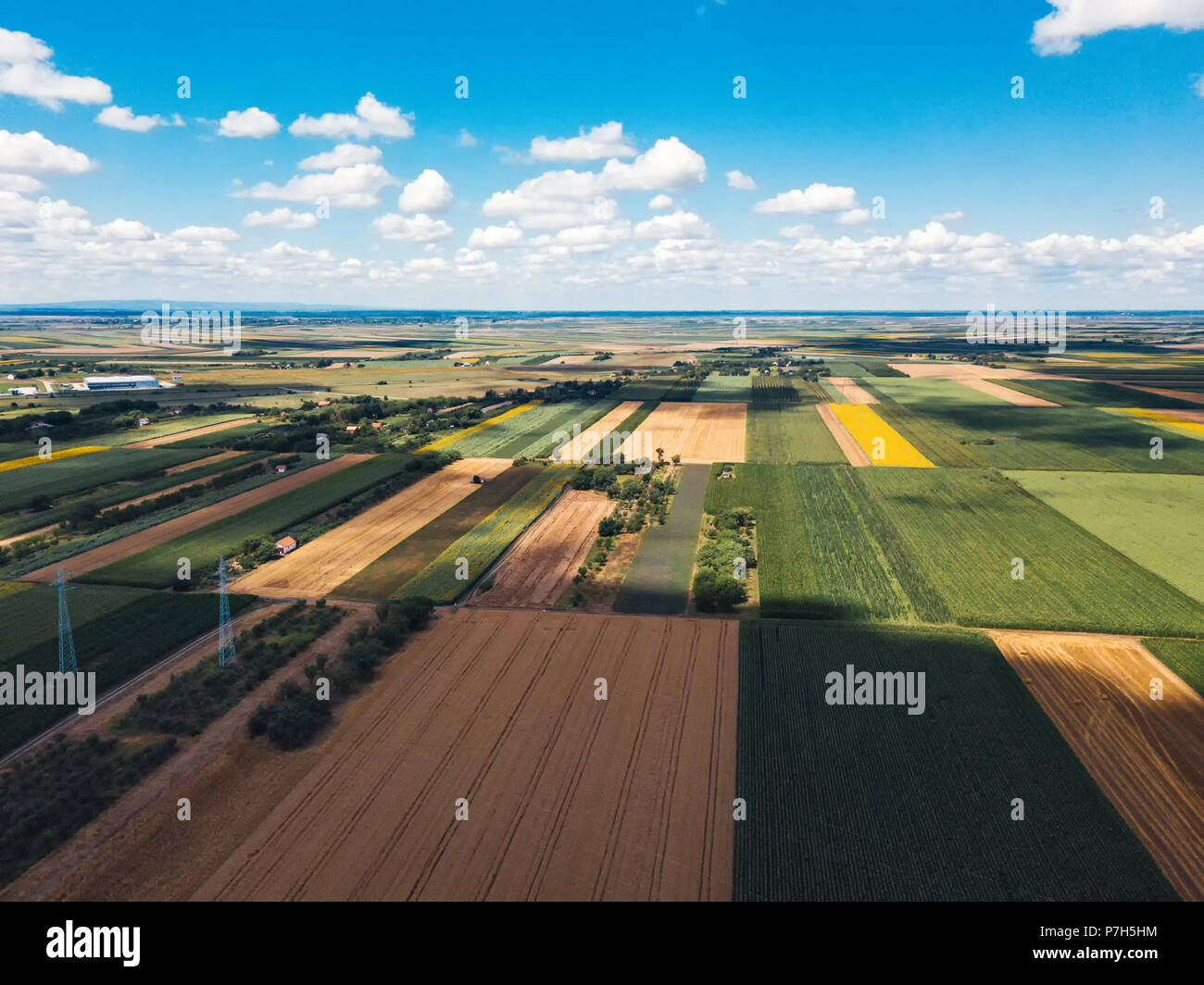 Aerial view of cultivated fields from drone perspective on bright sunny summer day Stock Photo