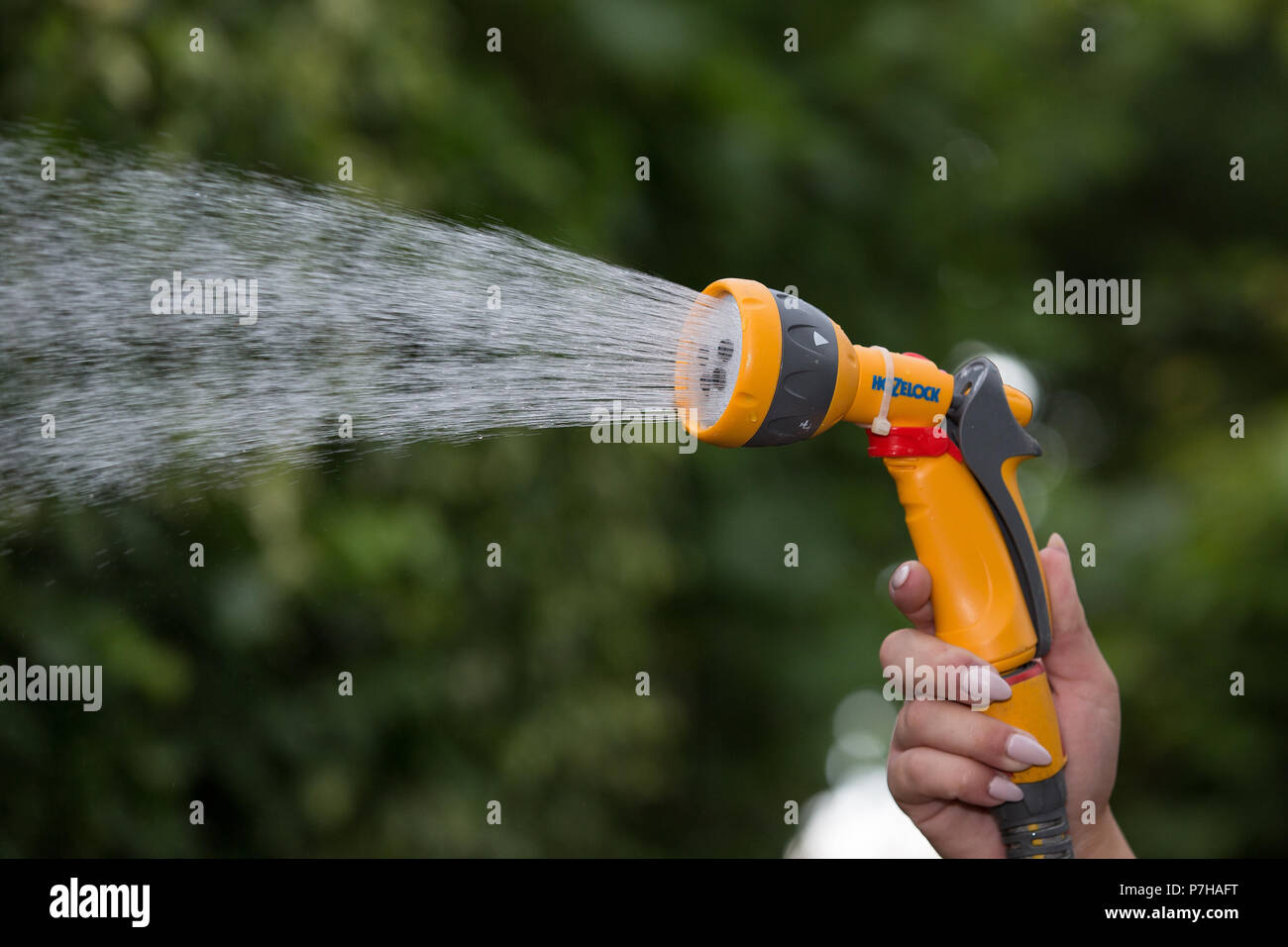 A uses a hose pipe in Nottinghamshire before a possible hosepipe ban takeseffect in the UK. Stock Photo
