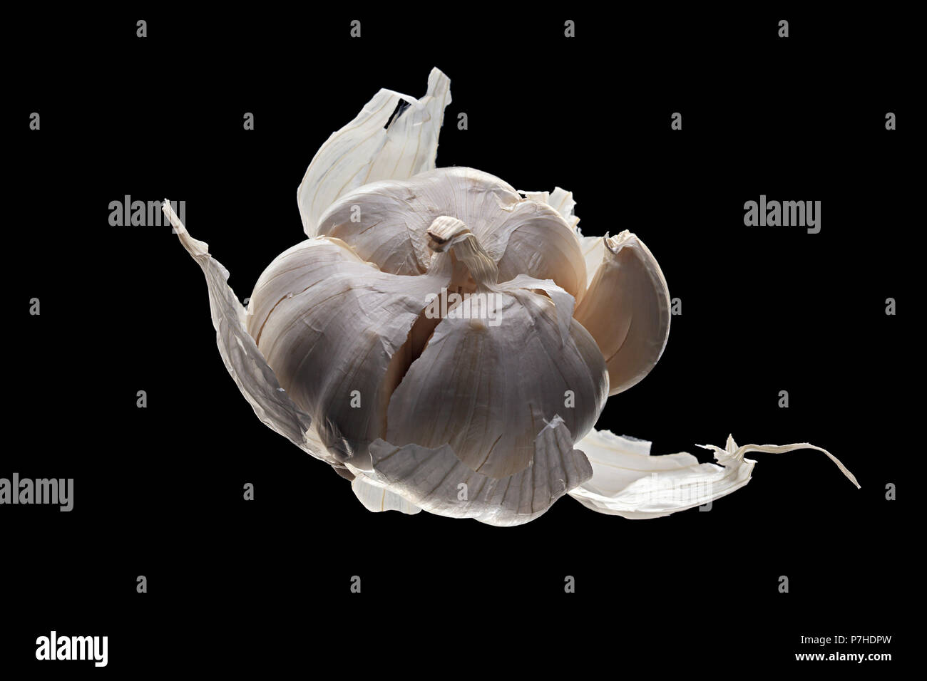 Whole fresh garlic on pure black background Stock Photo - Alamy