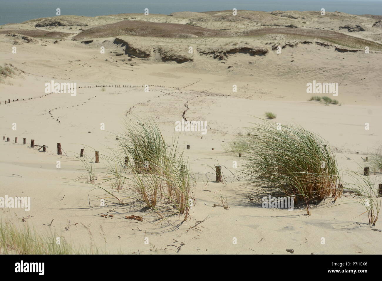 Dead Dunes in Nida town, Lithuania, Europe Stock Photo