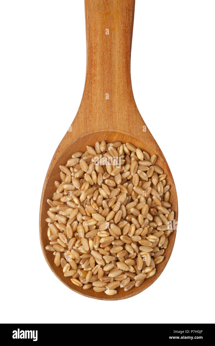 Wheat grain in a wooden spoon isolated on white background Stock Photo
