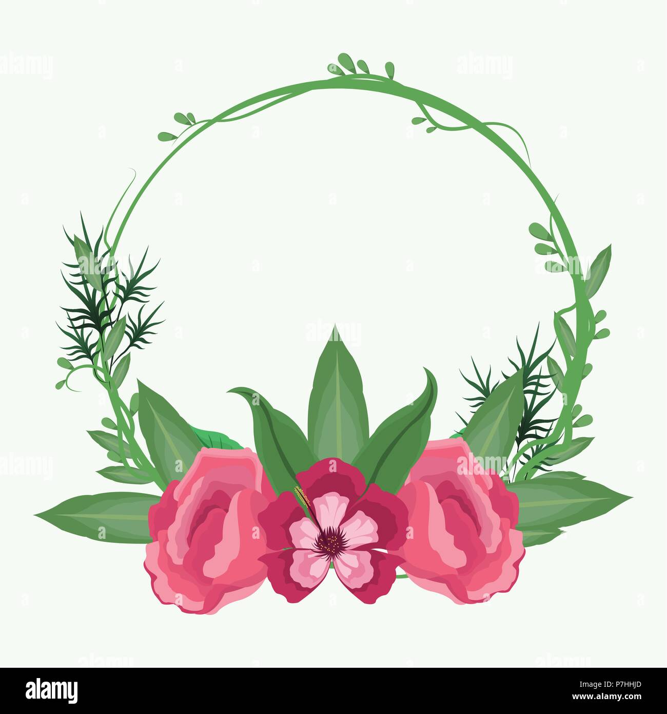Decorative round frame pink flowers with leaves vector illustration ...
