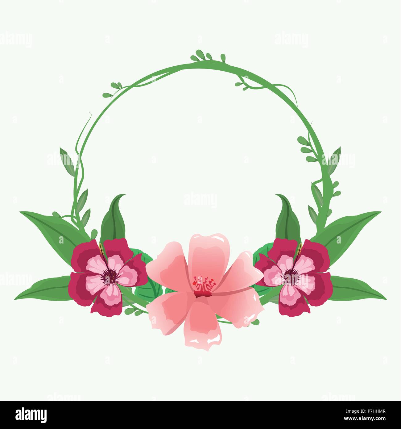 Decorative round frame pink flowers with leaves vector illustration ...