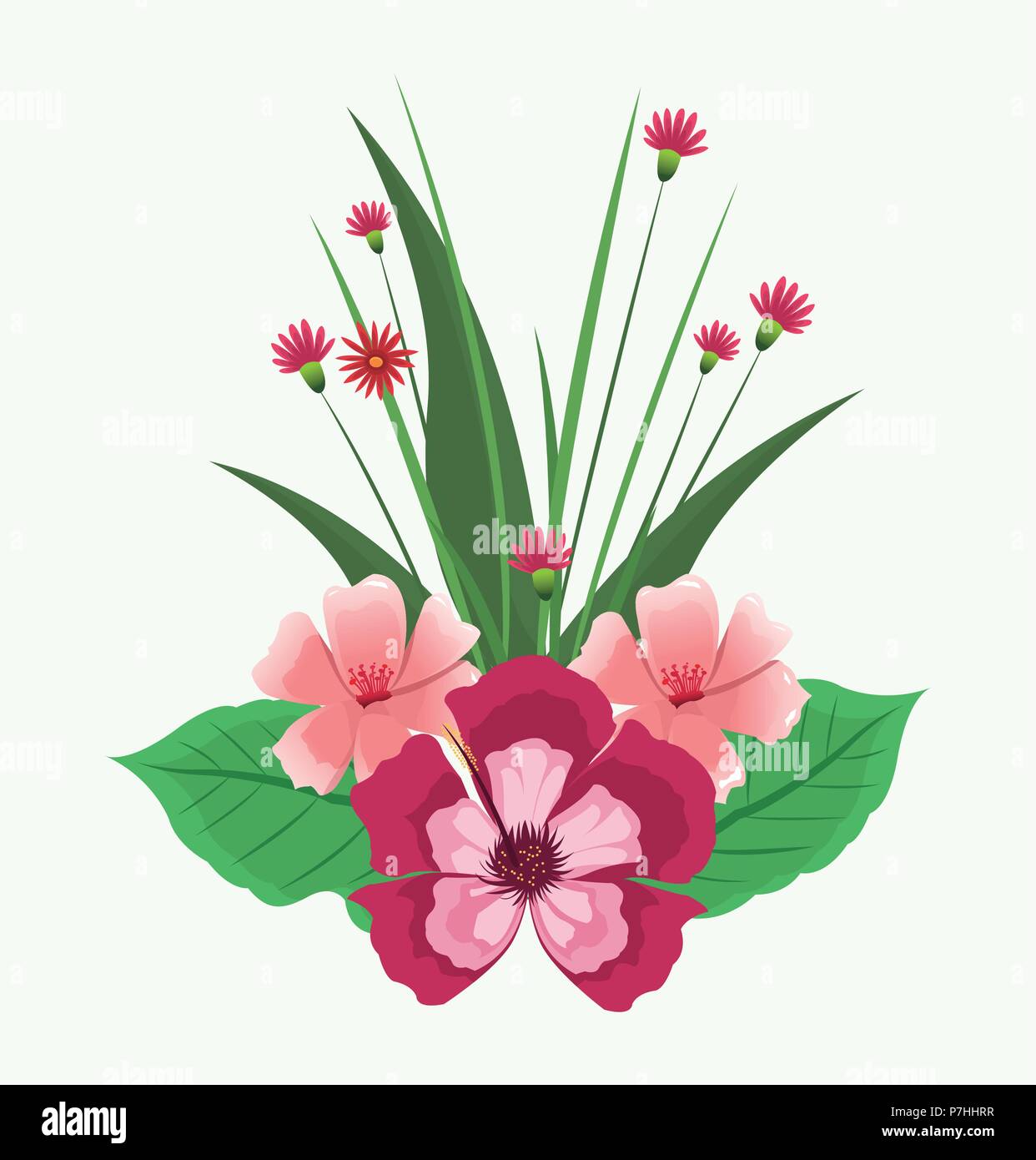 Beautiful pink flowers with leaves vector illustration graphic design ...