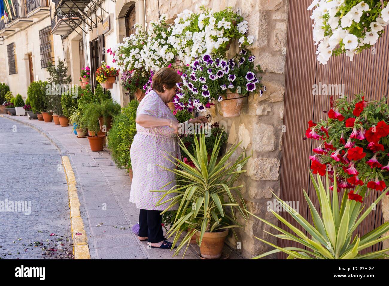 macetas de flores en la calle, Iznatoraf, Loma de Ubeda, provincia de Jaén  en la comarca de las Villas, spain, europe Stock Photo - Alamy