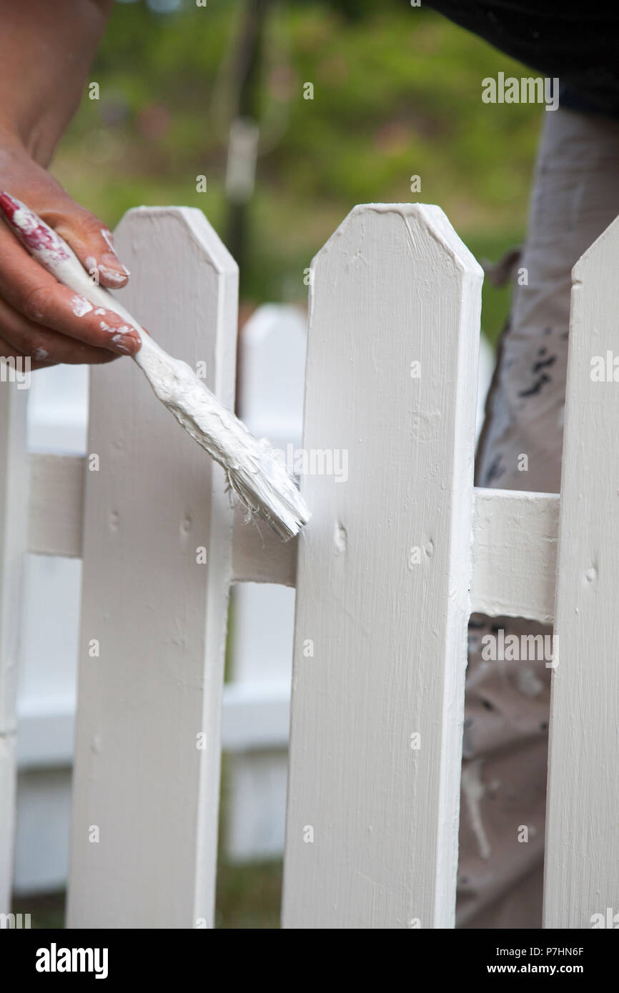 PAINTING OF FENCE 2018 Stock Photo