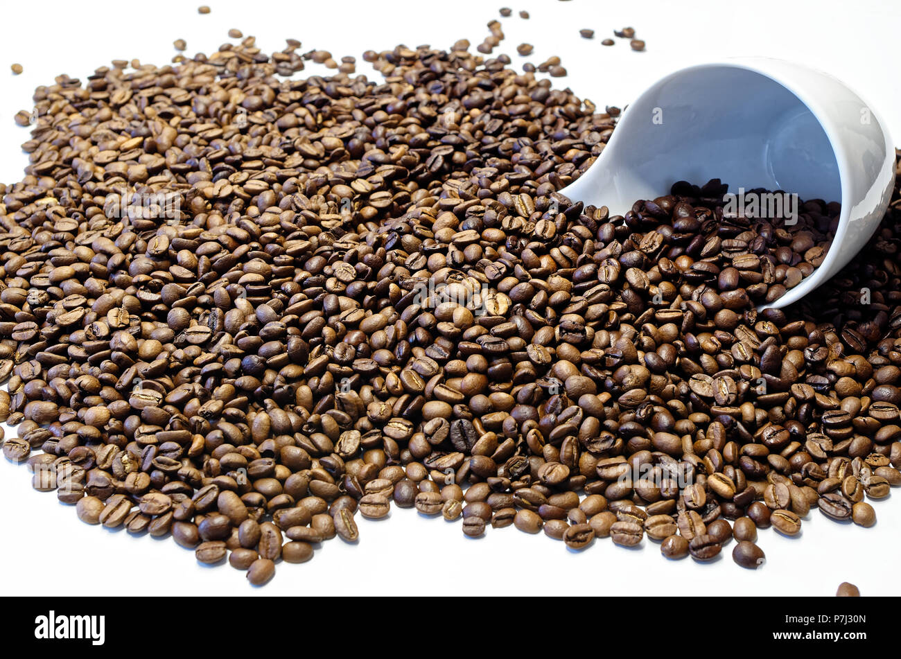 White coffee cup laying in roasted coffee beans on white background ...