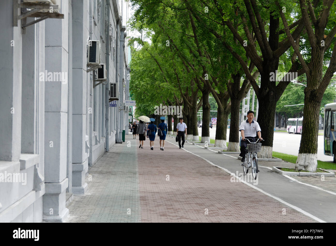 A cyclist and cycle path in Pyongyang, North Korea Stock Photo