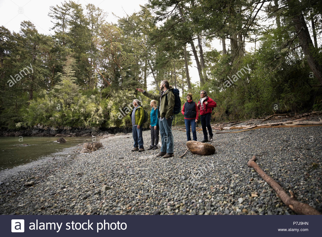 Trail guide leading active seniors hiking in woods Stock Photo