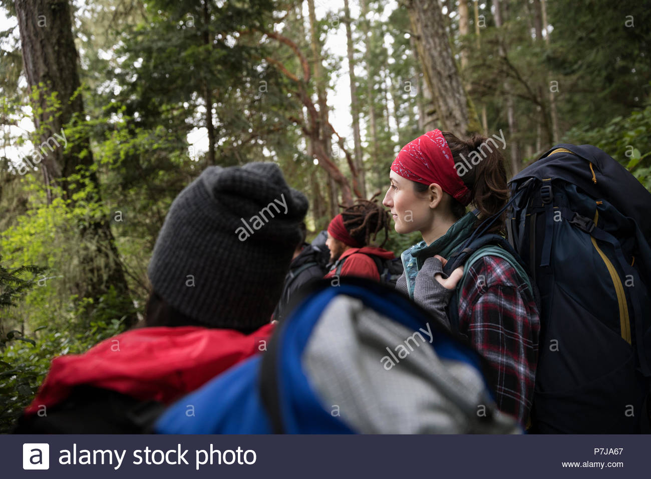 Friends backpacking woods Stock Photo