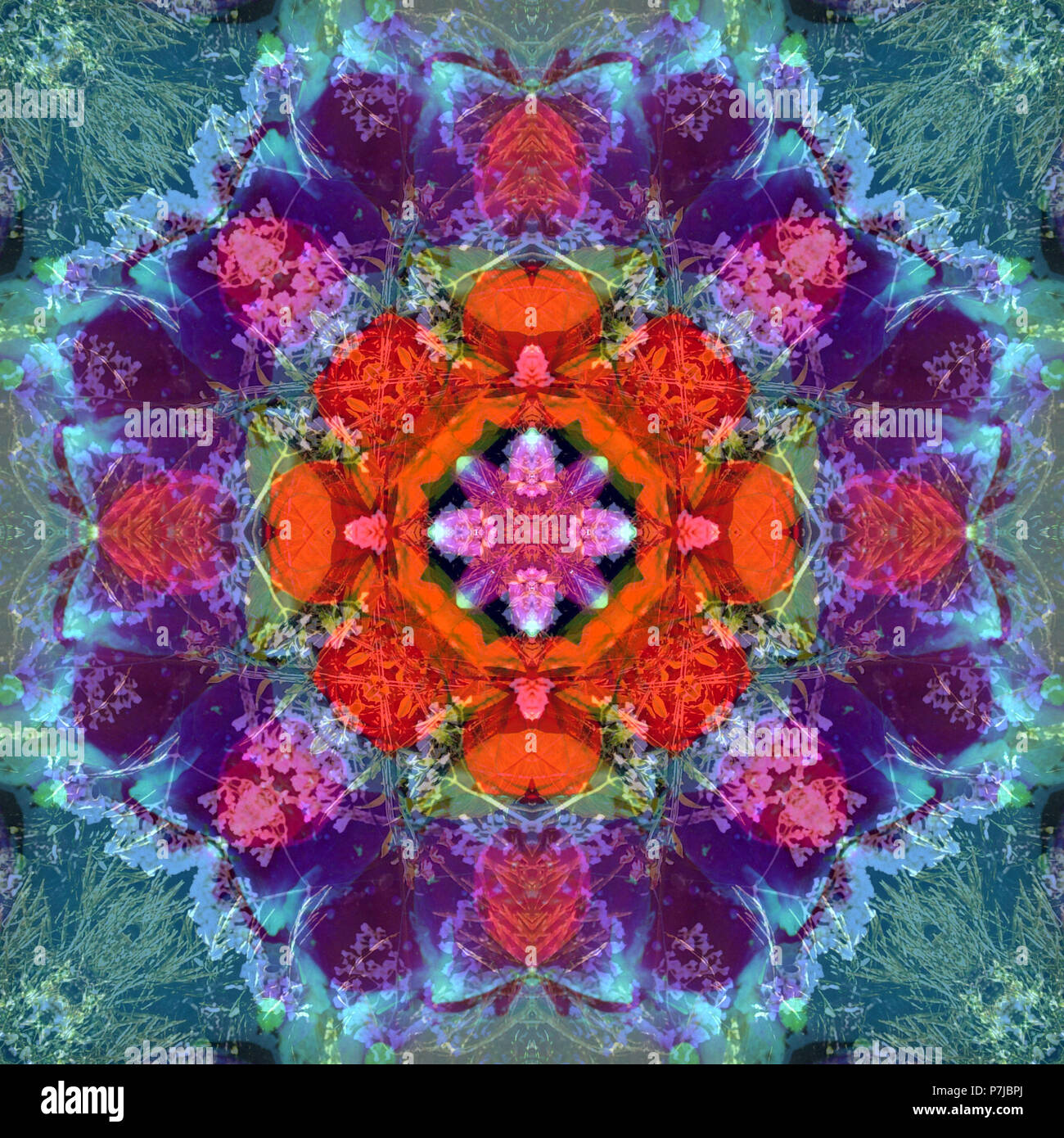 Composing of flowers in a mandala ornament Stock Photo
