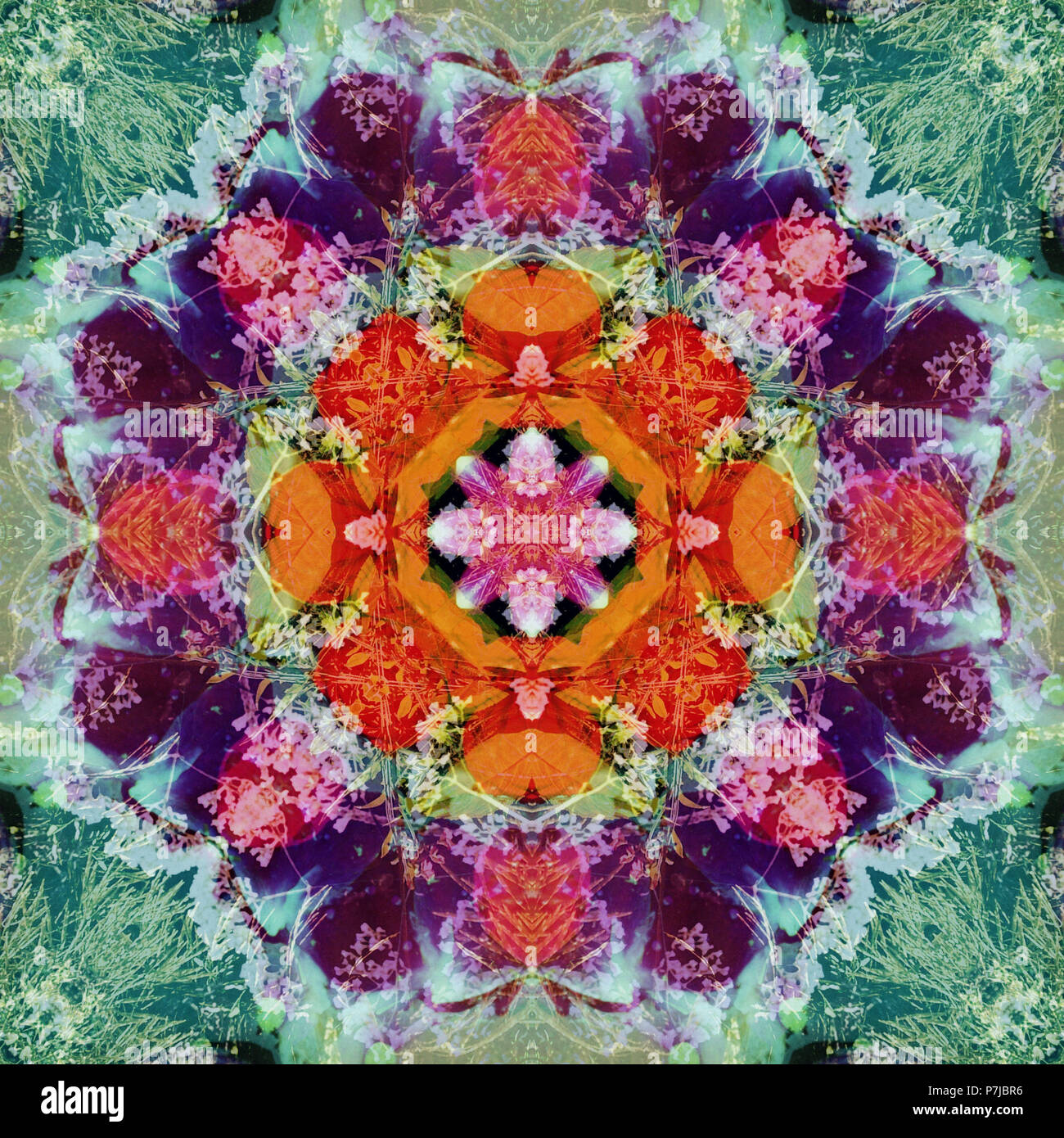 Composing of flowers in a mandala ornament Stock Photo