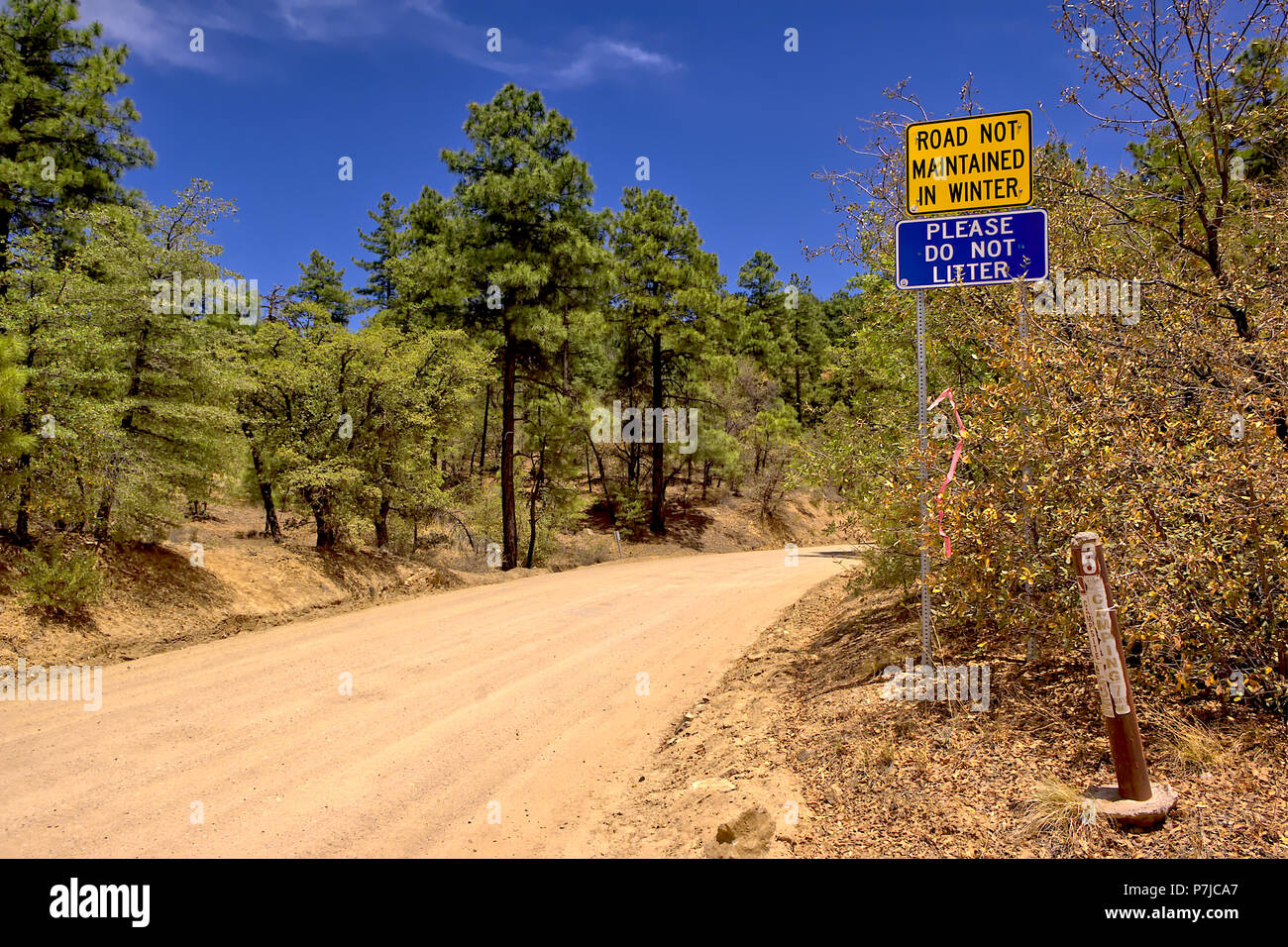 Road through Prescott National Forest, Arizona, United States Stock Photo Alamy