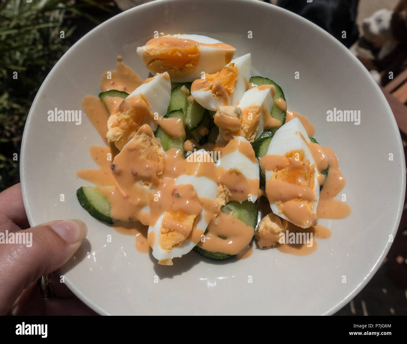 Hard boiled eggs with sliced cucmber topped with thousand island