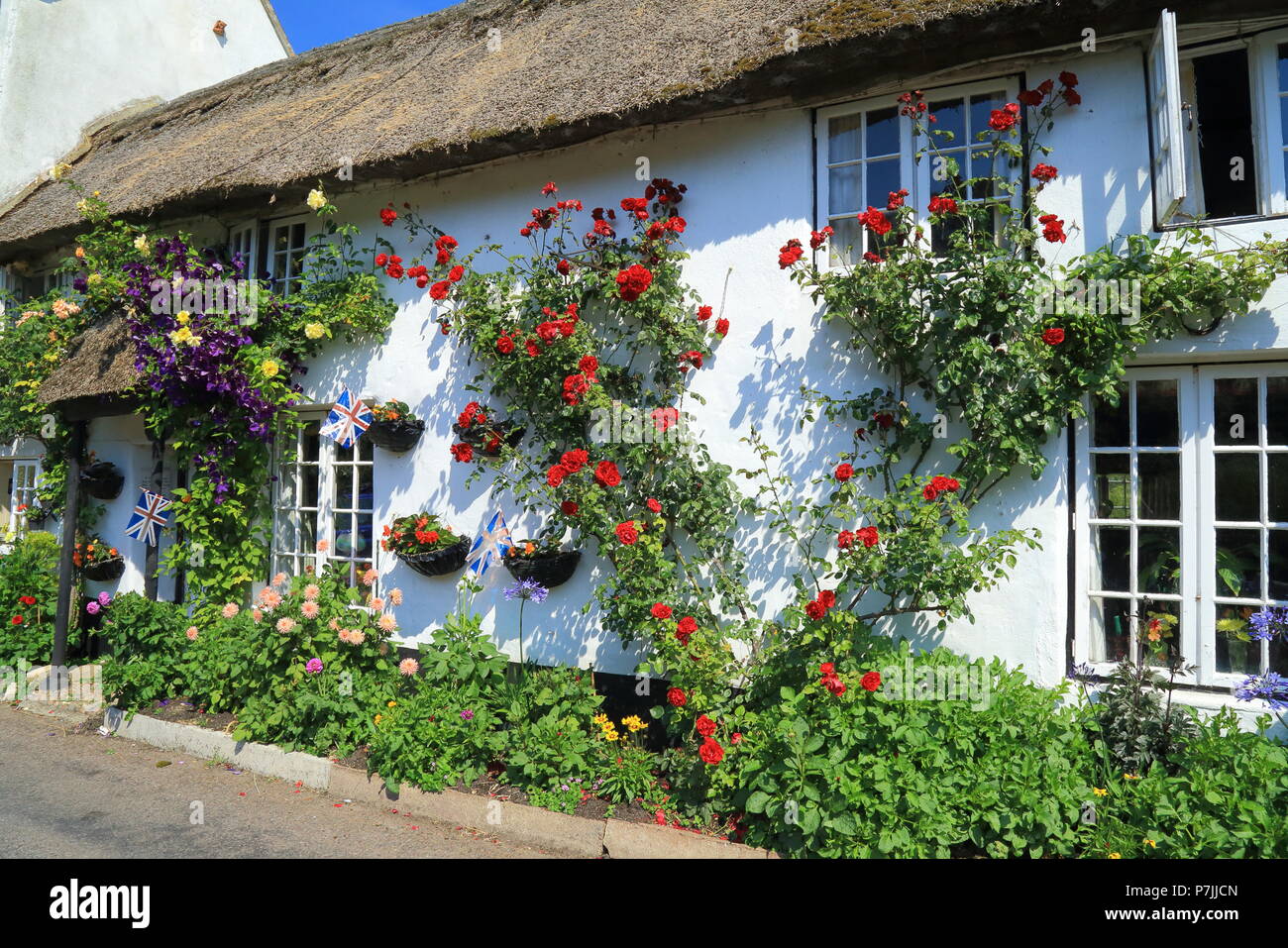 Thatched cottage with beautiful garden in village of in East