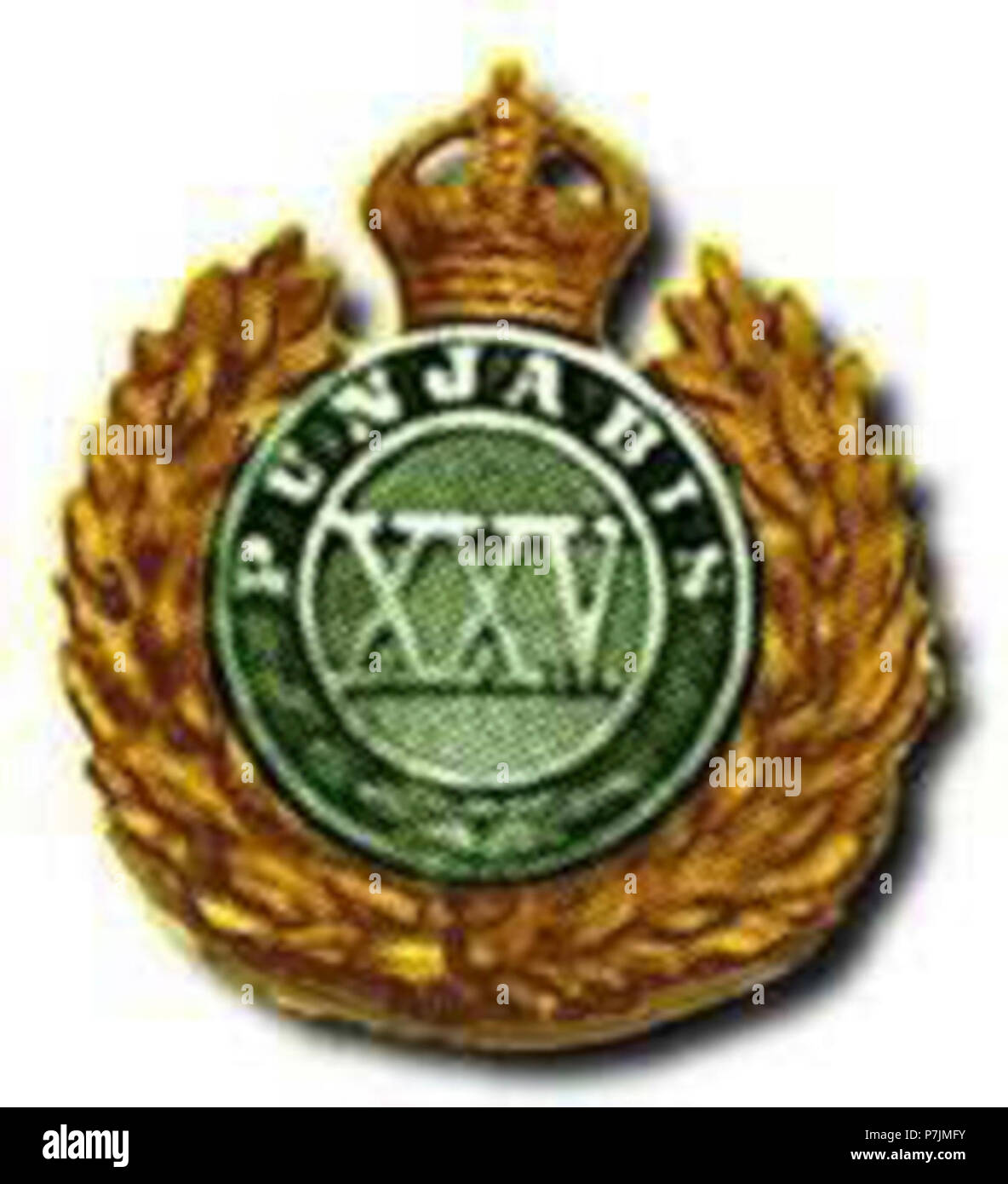 25 Punjabis badge Stock Photo Alamy