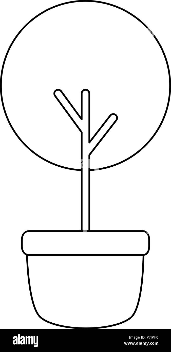 tree plant in pot Stock Vector Image & Art - Alamy
