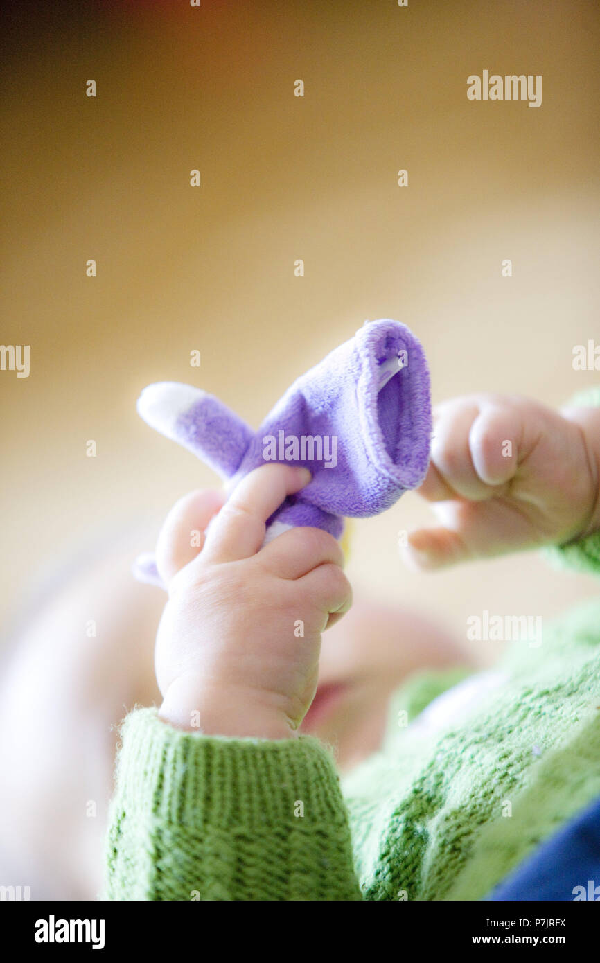 Infant, rag doll, hand, hold Stock Photo - Alamy