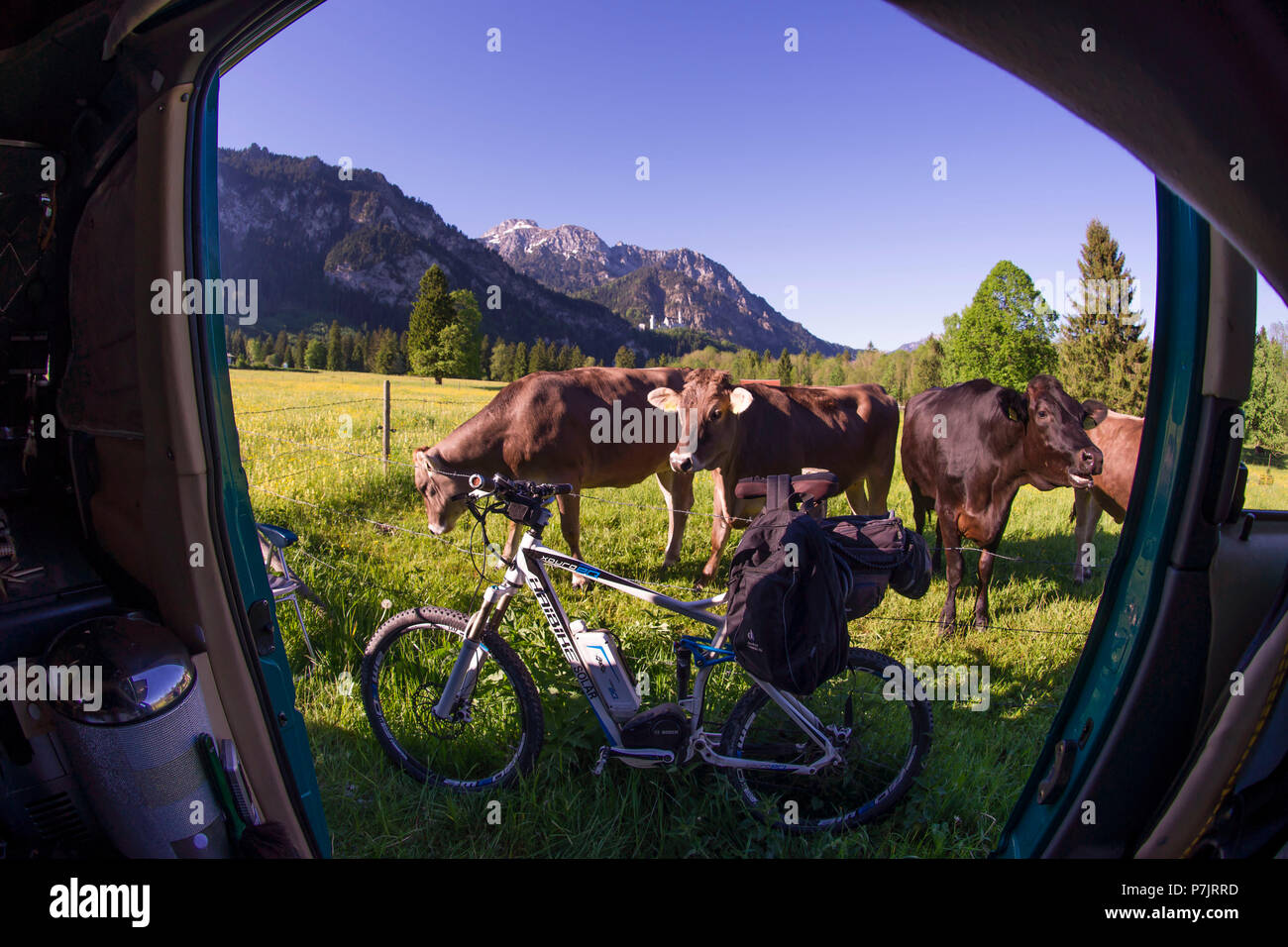 Solar vehicle, free camping in harmony with nature, view of e-bike and cows Stock Photo
