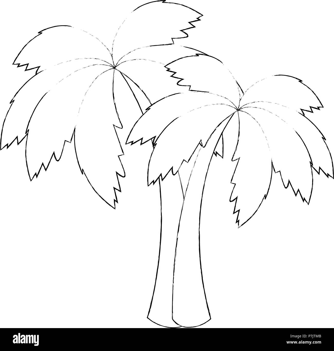 tree palms isolated icon Stock Vector Image & Art - Alamy