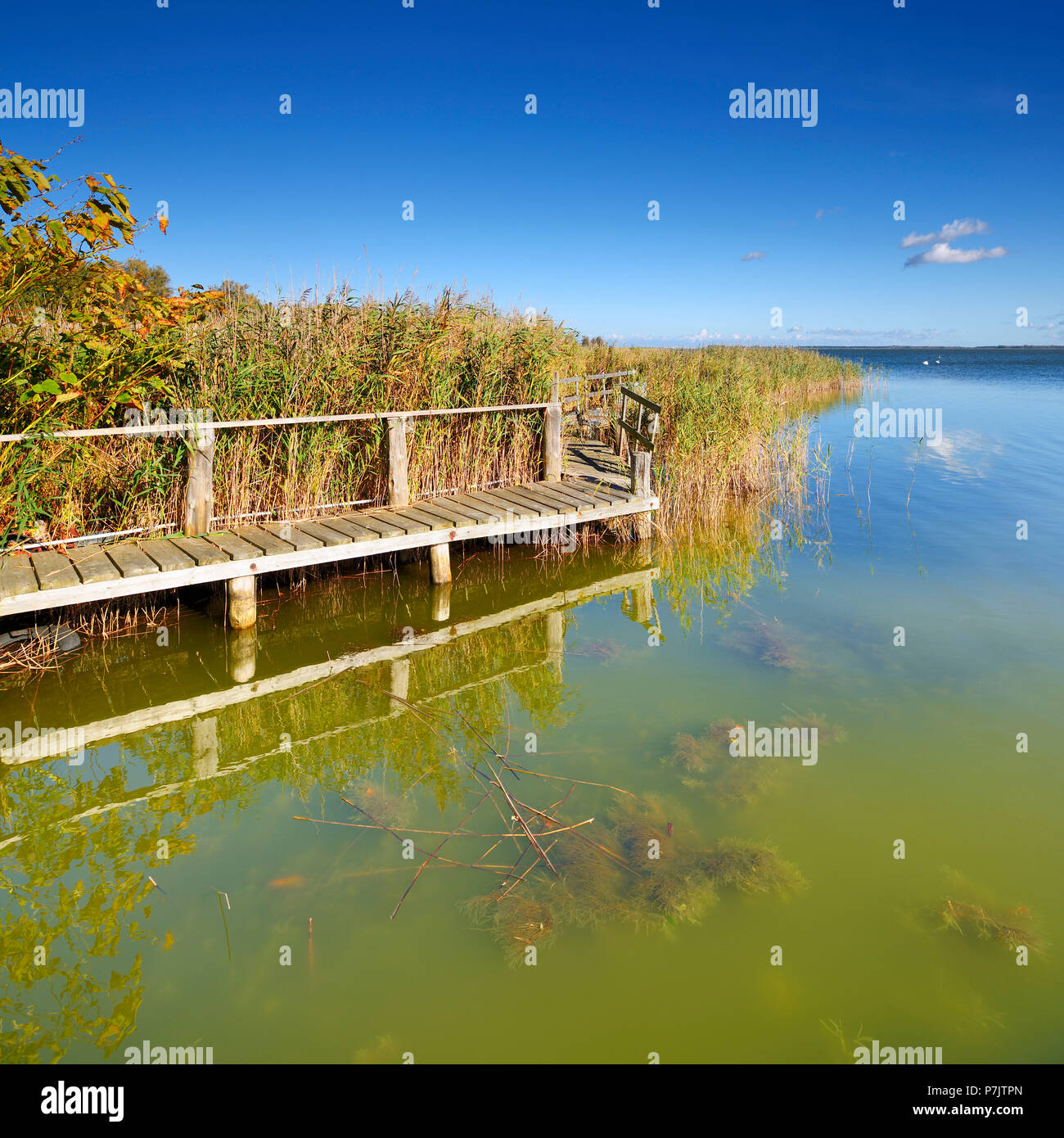 Wooden landing stage hires stock photography and images Alamy