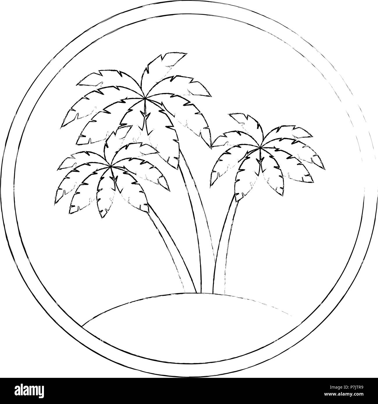 tree palms isolated icon Stock Vector Image & Art - Alamy