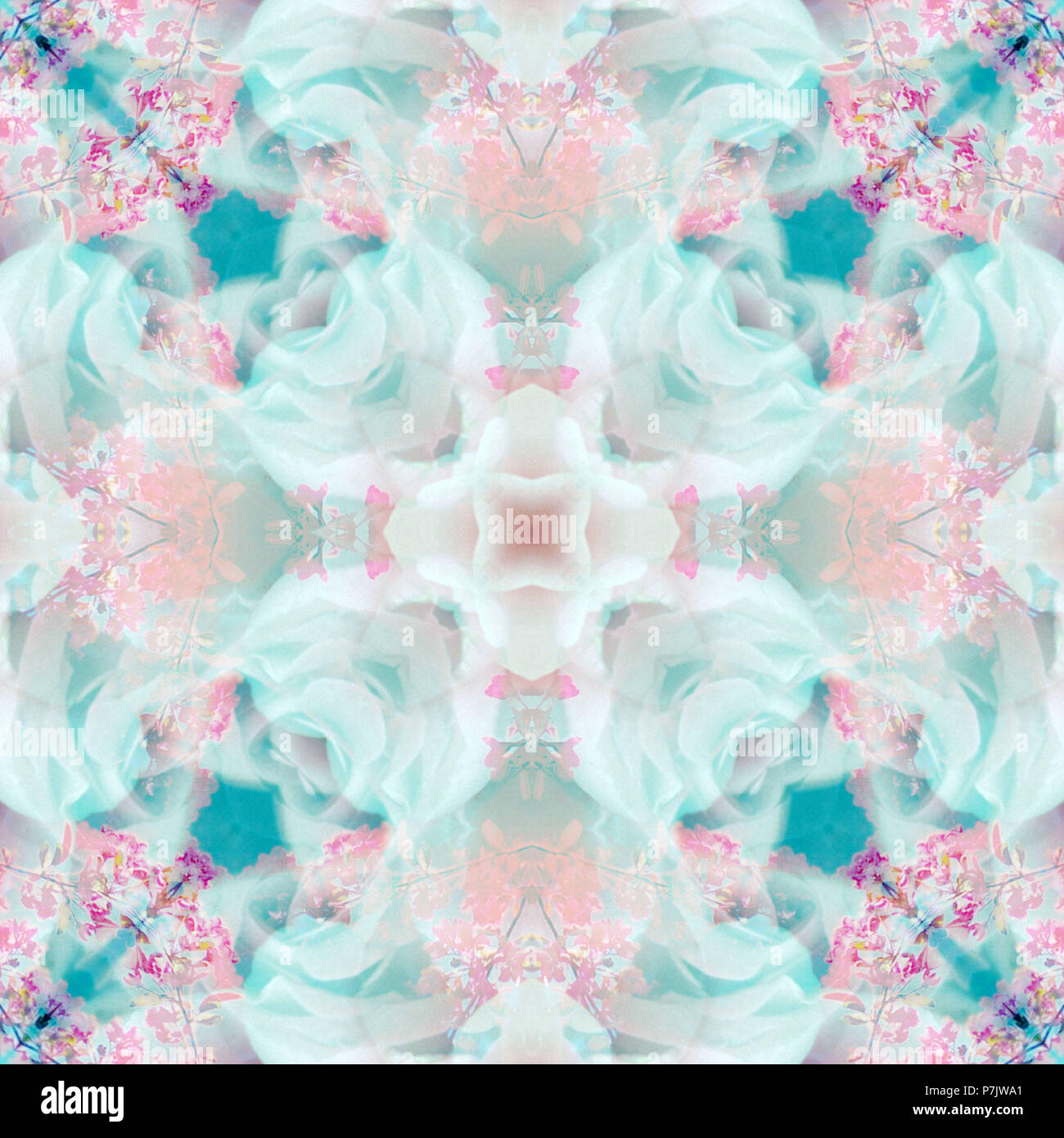 Photographic flower mandala, pink, turquoise, Stock Photo