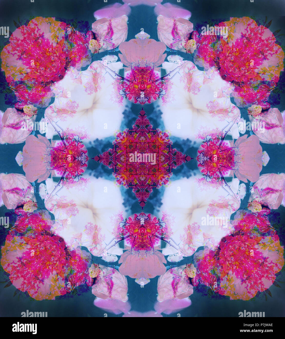 Photographic flower mandala, pink, rose-tinted, petrol Stock Photo - Alamy